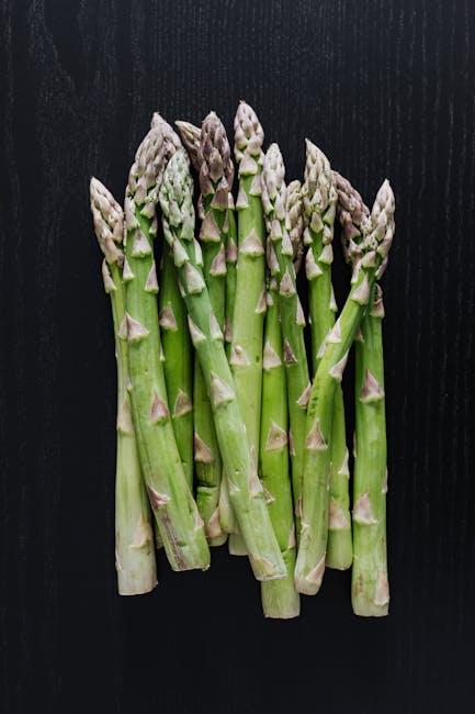 Asparagus segar Green Fresh