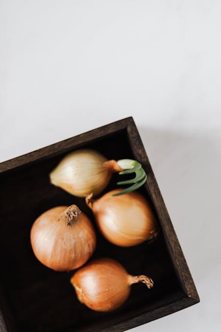Bawang Bombay segar Green Fresh