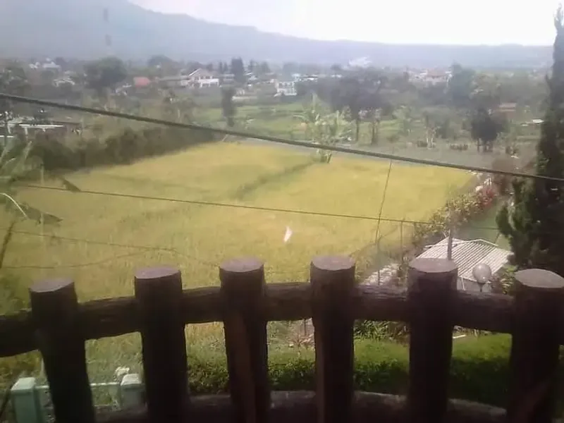 Galeri Full