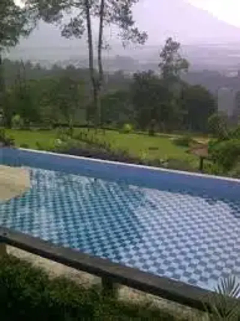 Galeri Full