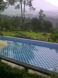 Galeri Full