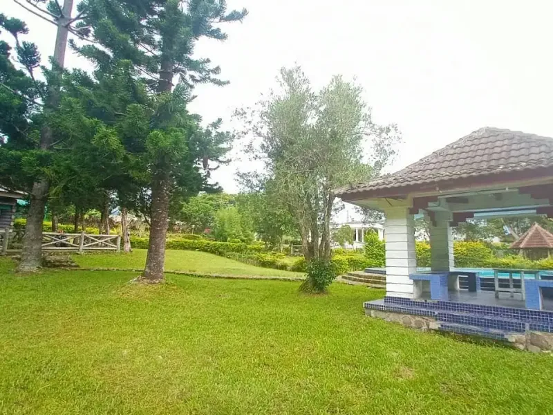 Galeri Full
