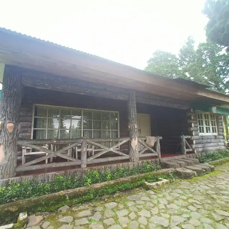 Galeri Full