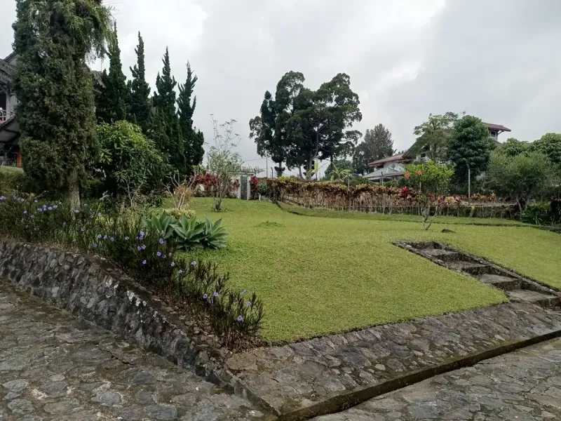 Galeri Full