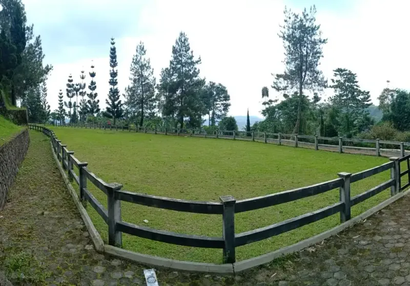 Galeri Full